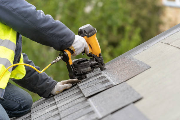 Best Roof Moss and Algae Removal  in Hooverson Heights, WV